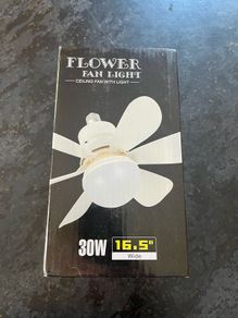 Fan light