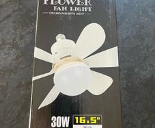Fan light