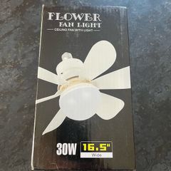 Fan light