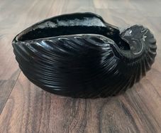 Rare Arklow Pottery Vintage Shell Planter