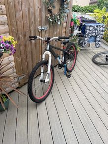 Dirt jumper