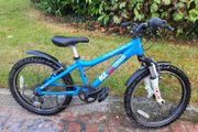 Ridgeback MX 20