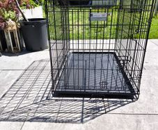 pet