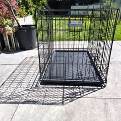 pet