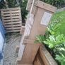 Pallets & timber box Image 4
