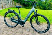 Electric  bike