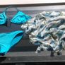 Vintage Blue Bikini with Free Matching Sarong. Image 2
