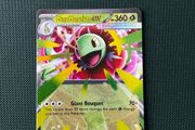 Pokemon Card: Mega Meganium ex - 034
