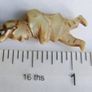 Antique Hand-carved Mother Of Pearl Gobbo Pendant - Antique Gobbo Charm Image 4