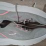 sketchers Image 3