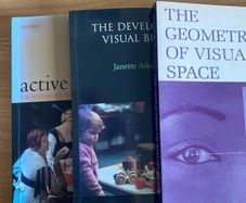 Visual Perception and Vision Science (Psychology Neuroscience Books)