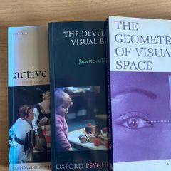 Visual Perception and Vision Science (Psychology Neuroscience Books)