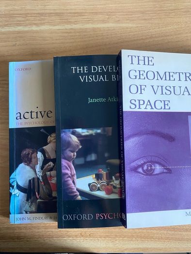 Visual Perception and Vision Science (Psychology Neuroscience Books)