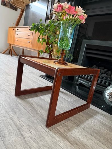 Mid Century Plant Side Coffee Table
