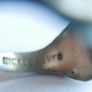 Vintage Nickel Silver Signet Ring - Classic size T Image 8