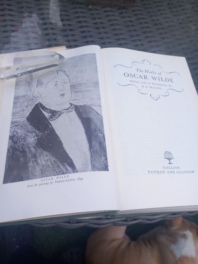 Oscar Wilde, hardback, 1963, Stories Plays Poems Essays. Post 8e D18