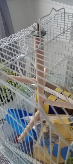 Bird cage with all accessories