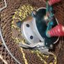 fly fishing reels Image 3