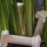 Set of 3 Miniature Greek Columns 3D Printed Decor Image 5