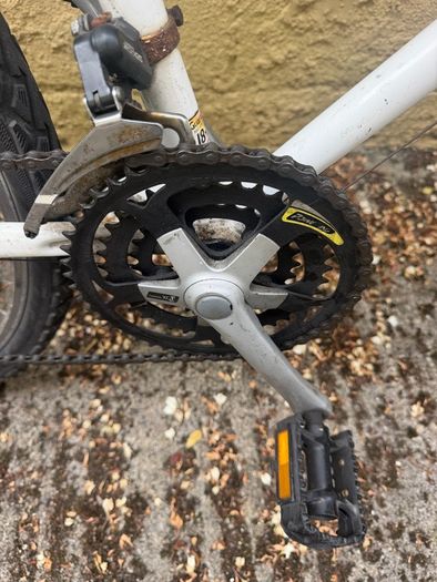 Raleigh Pioneer