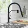 Kitchen Tap, Kitchen Taps Mixer with Pull Out Spray, Sink Mixer Tap Single Handle with High Arc 360 Swivel 2 Modes Spray Head for 1 Hole Mount, Matte Black Image 2