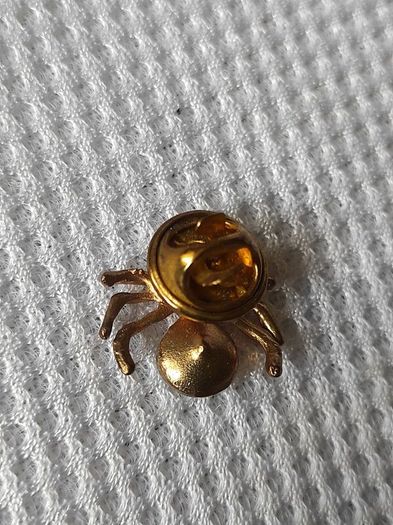 Pin/brooch