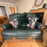 Green leather antique-style suite Image 4