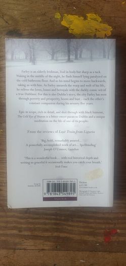 The Cold Eye of Heaven [1st edition] - Christine Dwyer Hickey