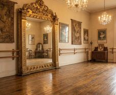 Massive old Lions head mirror
