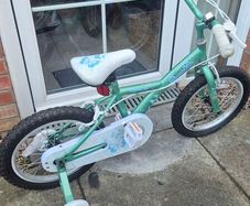 apollo kids bike