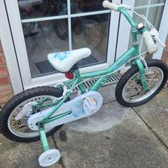 apollo kids bike