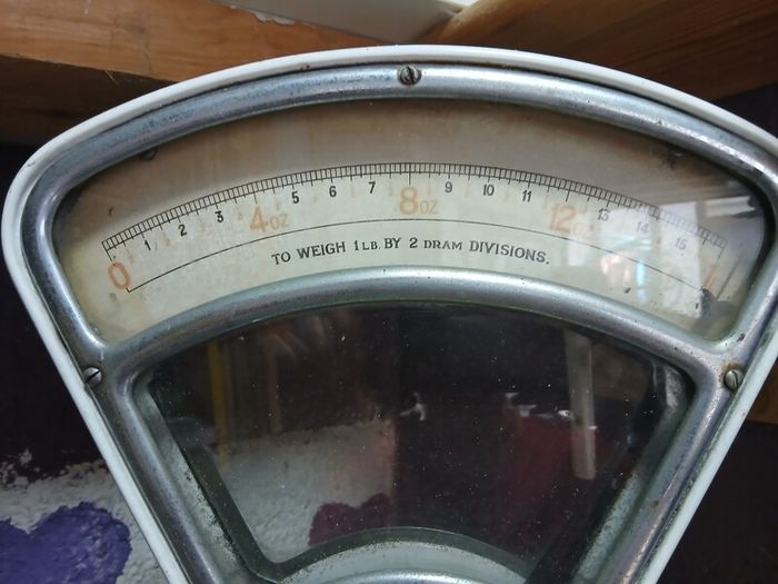 scale