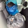 4 Bags of clothes in good condition for free Image 4