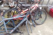 scrap free to take away