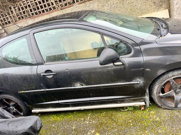 2008 Peugeot 207