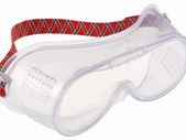 Economy Goggle