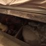 Small double otterman Bed and mattress Image 6