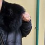Goose country Leather down filled jacket xl bnwt super warm Image 7