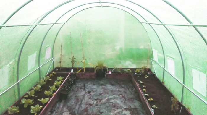New 20 X 10FT Pro Polytunnel Galvanised With Door, FREE Delivery