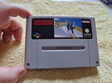 Winter Gold Snes Super Nintendo Arcade Retro Games Original