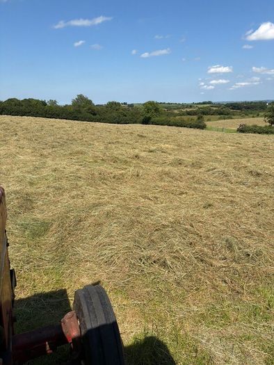 Hay
