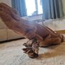 Carved wooden iguana Image 6
