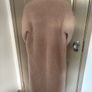 Wool mohair and alpaca mix oversized coat in blush Image 4