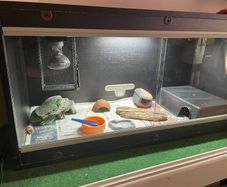 3ft Terrarium