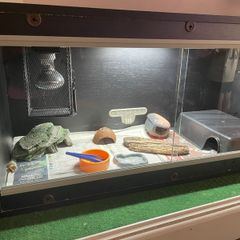 3ft Terrarium