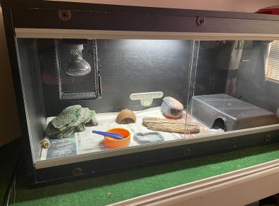 3ft Terrarium