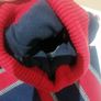 beautiful boys Tommy Hilfiger hat & scarf Image 6