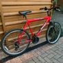 Reflex Reaction MTB Image 3
