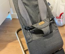 Baby bouncer
