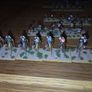 DBM 15mm Beja army Image 2